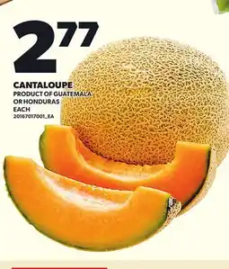 Loblaws CANTALOUPE, EACH offer