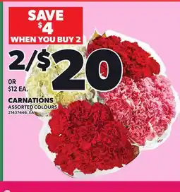 Loblaws CARNATIONS offer
