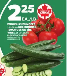 Loblaws ENGLISH CUCUMBERS 2.25 EA. OR GREENHOUSE TOMATOES ON THE VINE 2.25 LB offer