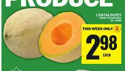 Food Basics CANTALOUPES offer