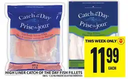 Food Basics HIGH LINER CATCH OF THE DAY FISH FILLETS offer
