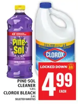 Food Basics PINE-SOL CLEANER OR CLOROX BLEACH offer