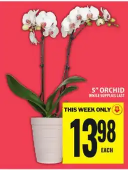 Food Basics 5 ORCHID offer