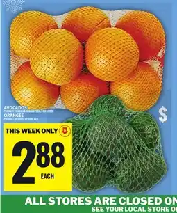 Food Basics AVOCADOS offer