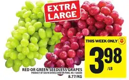 Food Basics RED OR GREEN SEEDLESS GRAPES offer