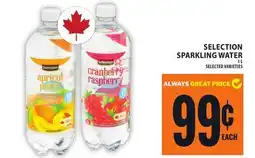 Food Basics SELECTION SPARKLING WATER offer