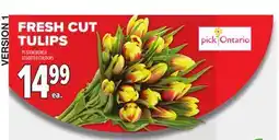 Metro FRESH CUT TULIPS offer