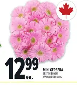 Metro MINI GERBERA offer