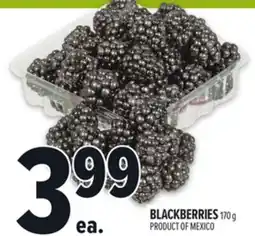 Metro BLACKBERRIES offer