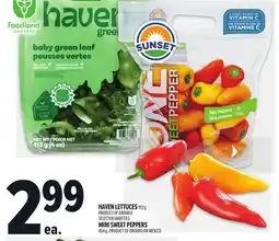 Metro HAVEN LETTUCES offer