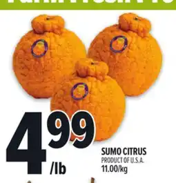 Metro SUMO CITRUS offer