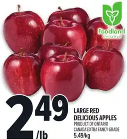 Metro LARGE RED DELICIOUS APPLES offer