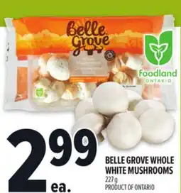 Metro BELLE GROVE WHOLE WHITE MUSHROOMS offer