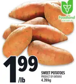 Metro SWEET POTATOES offer