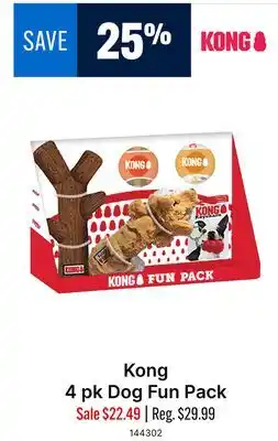 Ren’s Pets Depot Kong 4 pk Dog Fun Pack offer
