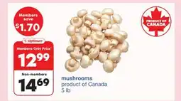 Wholesale Club MUSHROOMS, 5 lb offer