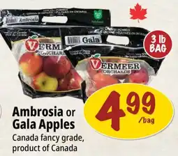 Farm Boy Ambrosia or Gala Apples offer