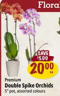 Farm Boy Premium Double Spike Orchids offer