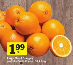 Foodland Large Navel Oranges offer