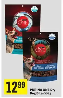 Foodland PURINA ONE Dry Dog Bites offer