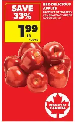 Real Canadian Superstore RED DELICIOUS APPLES offer