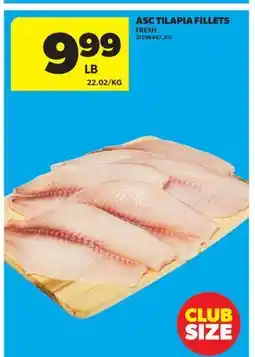 Real Canadian Superstore ASC TILAPIA FILLETS offer