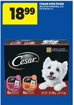 Real Canadian Superstore CESAR DOG FOOD, 12' S offer