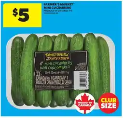 Real Canadian Superstore FARMER'S MARKET MINI CUCUMBERS, 11' S offer
