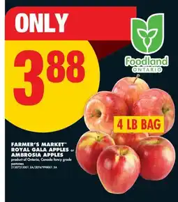 No Frills FARMER'S MARKET ROYAL GALA APPLES or AMBROSIA APPLES, 4 LB BAG offer