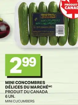 L'Intermarché MINI CONCOMBRES | MINI CUCUMBERS, 6 UN offer
