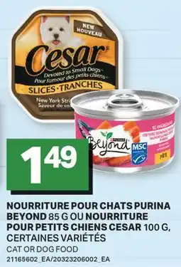L'Intermarché NOURRITURE POUR CHATS 85 G OU NOURRITURE POUR PETITS CHIENS 100 G, | CAT OR DOG FOOD offer