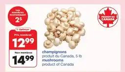 Wholesale Club CHAMPIGNONS, 5 LB offer