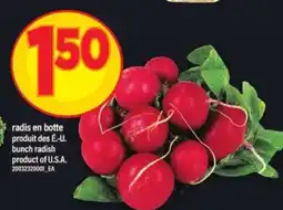 Maxi RADIS EN BOTTE offer