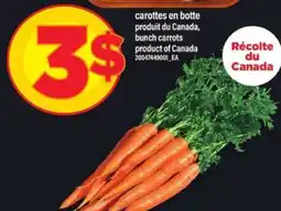 Maxi Carottes en botte offer