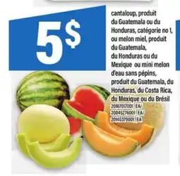 Maxi Cantaloup, Melon miel, Mini melon d'eau sans pépins offer
