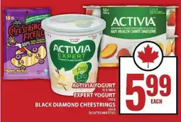 Food Basics ACTIVIA Yogurt, Expert Yogurt, Black Diamond Cheestrings offer