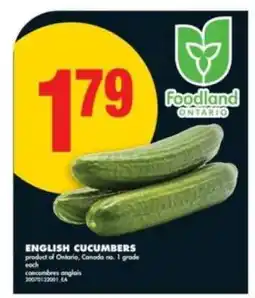 No Frills ENGLISH CUCUMBERS offer