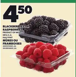 Independent City Market BLACKBERRIES OR RASPBERRIES HALF PINT offer