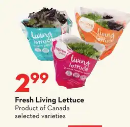 Longo's Fresh Living Lettuce offer