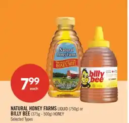 Shoppers Drug Mart NATURAL HONEY FARMS LIQUID (750g) or BILLY BEE (375g - 500g) HONEY offer