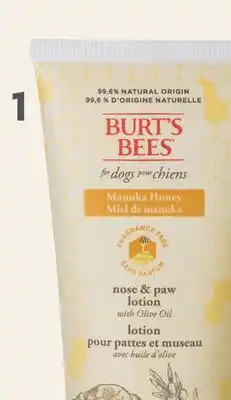 Petvalu Burt's Bees Manuka Honey Paw & Nose Dog Lotion offer
