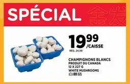 Kim Phat WHITE MUSHROOMS offer