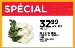 Kim Phat BABY BOKCHOYS offer
