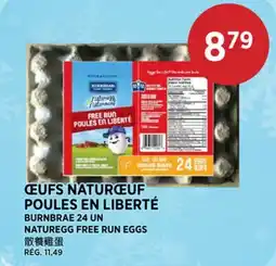 Kim Phat NATUREGG FREE RUN EGGS offer