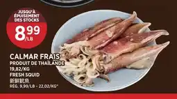 Kim Phat FRESH SQUID offer