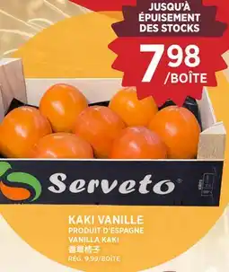 Kim Phat VANILLA KAKI offer