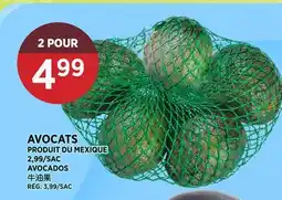 Kim Phat AVOCADOS offer