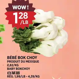 Kim Phat BABY BOKCHOY offer