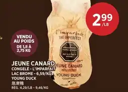 Kim Phat YOUNG DUCK offer