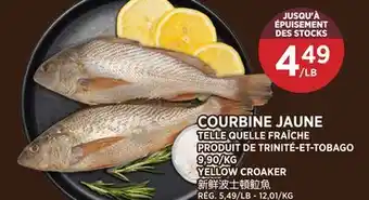 Kim Phat YELLOW CROAKER offer